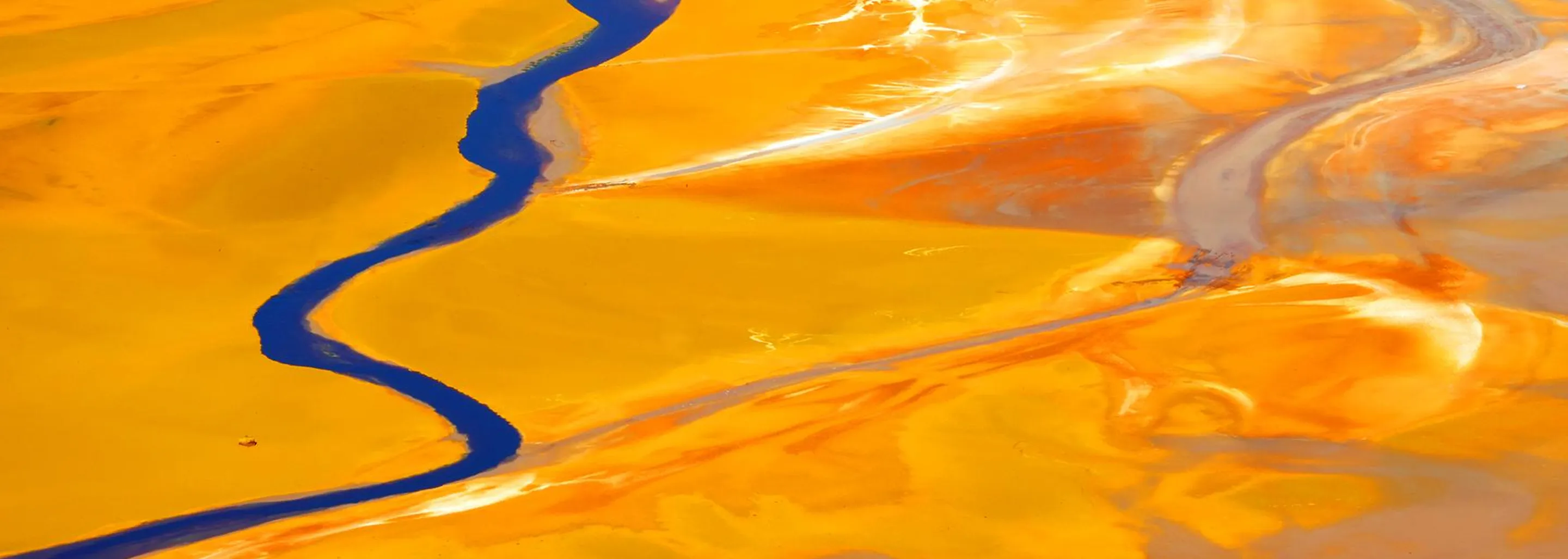 Colorful abstract banner